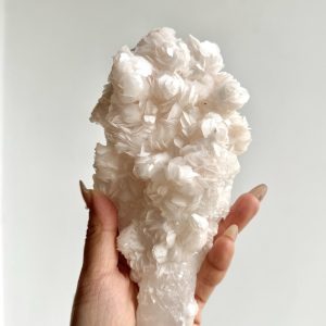 手捧花瑤仙崗方解