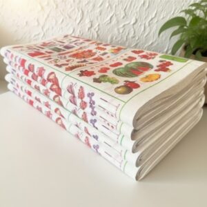 Paper Model – Fruit & Grocery Shop D71