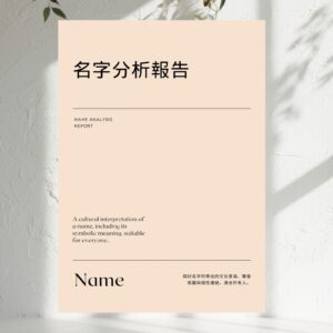 Name Analysis Report D65