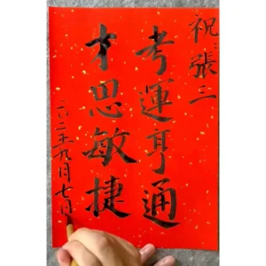 Master Calligraphy Blessing Set (above 6 Sheets) D15C